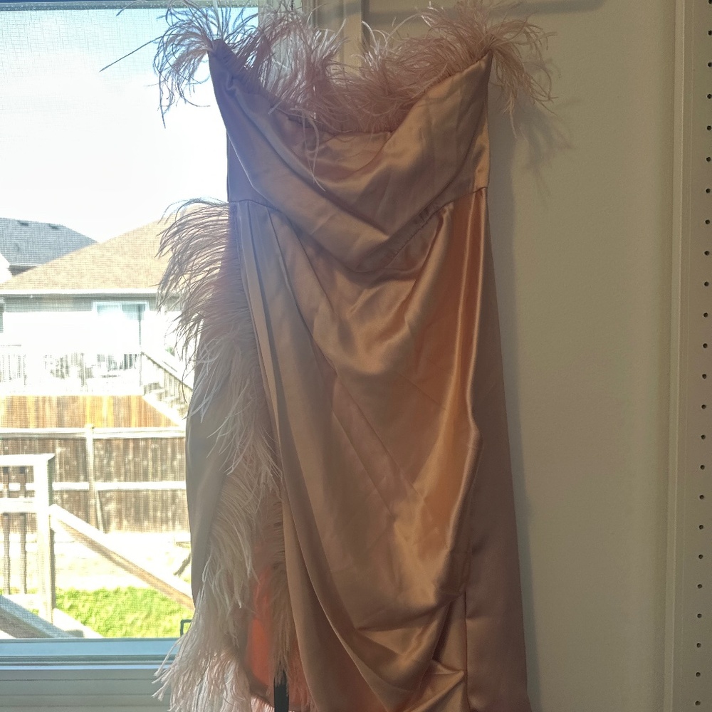 Club London pink feather dress size 4